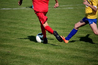 米兰体育-仰泳大战美队领先毫厘之间，仰泳比赛视频欣赏