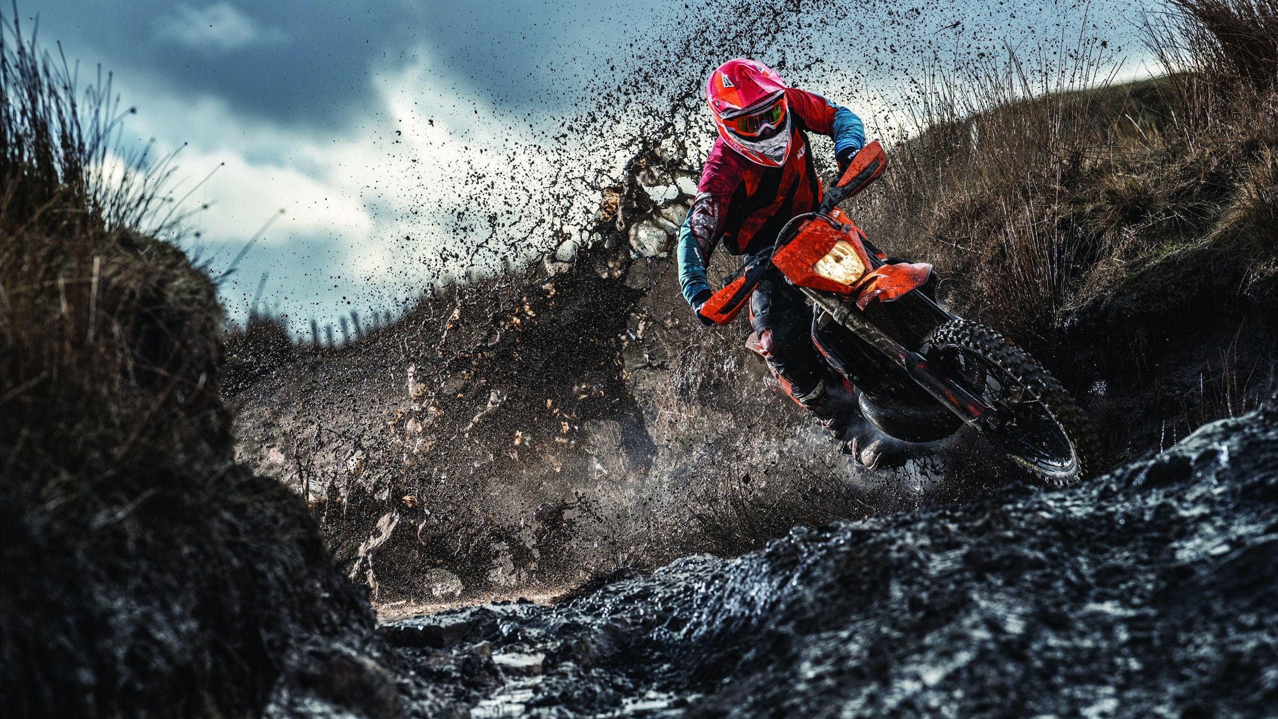 世界杯话题热度榜：球员哭泣画面比进球集锦更刷屏