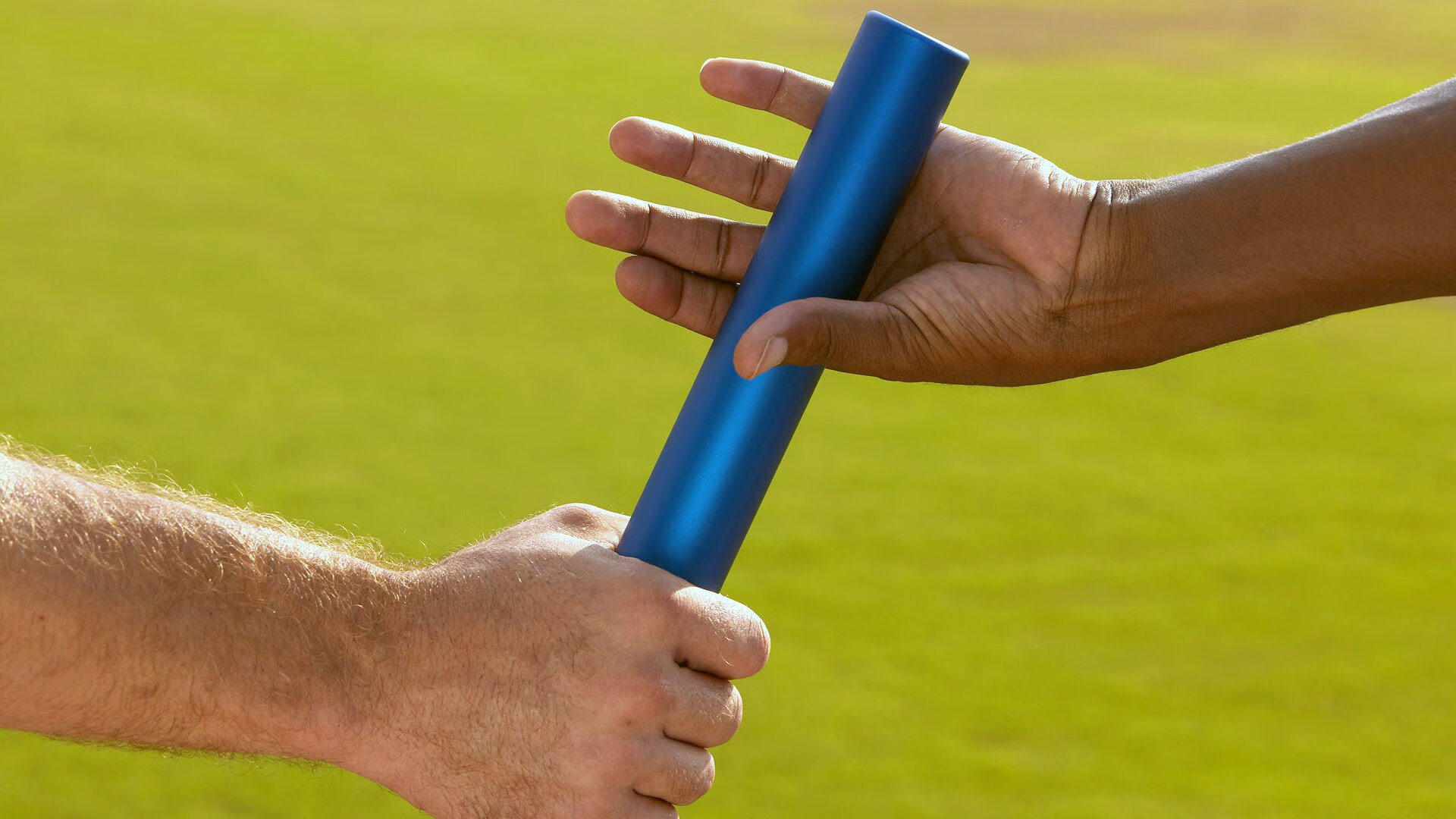 中国跳水队延续稳定表现