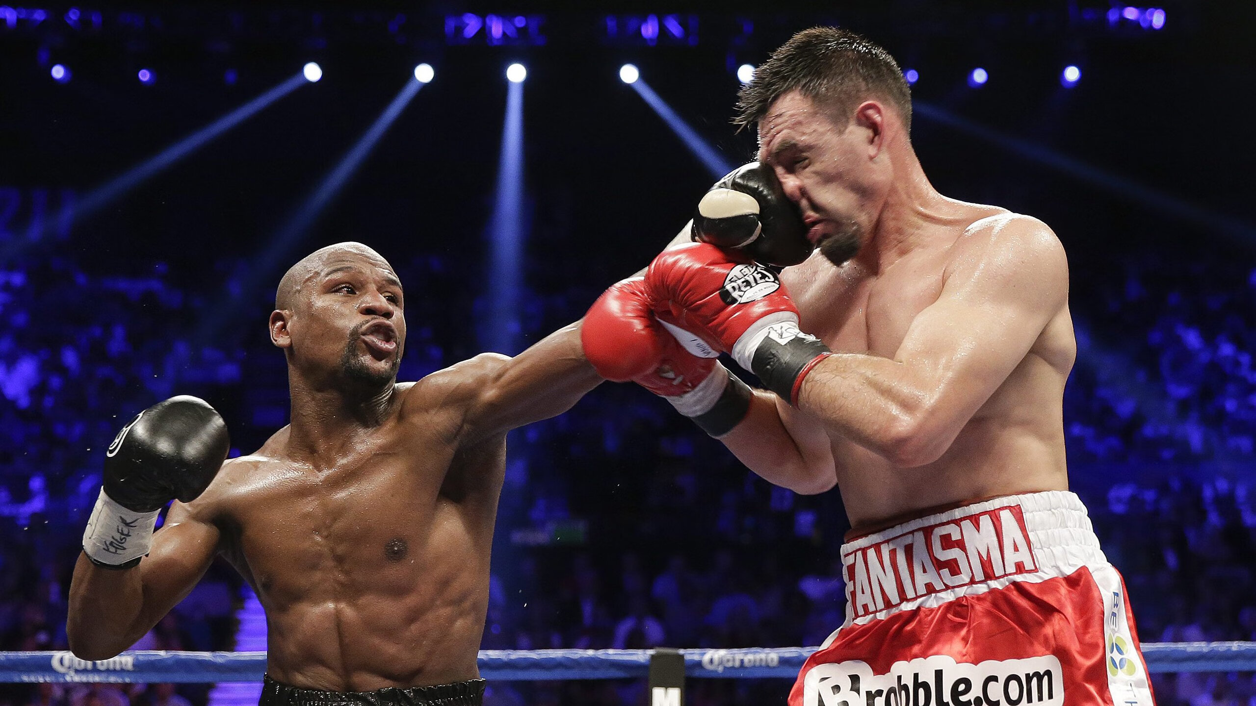 体育明星最新消息